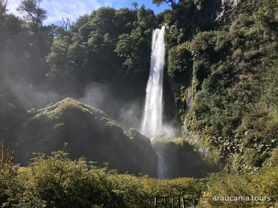 Salto de agua entre paredes de bosque