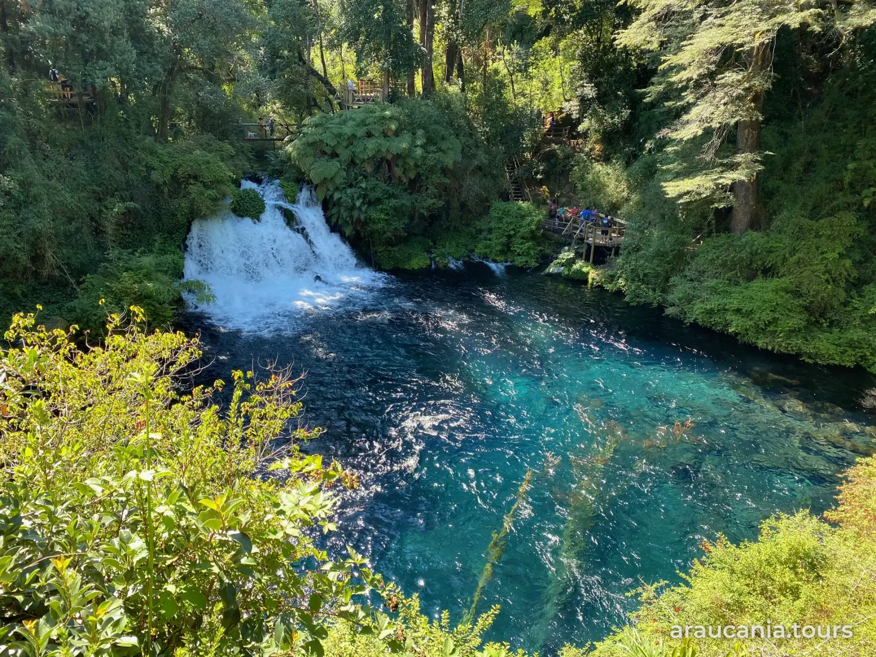 Pozón turquesa y cascada de los Ojos del Caburgua, entre bosque nativo, cerca de Pucón