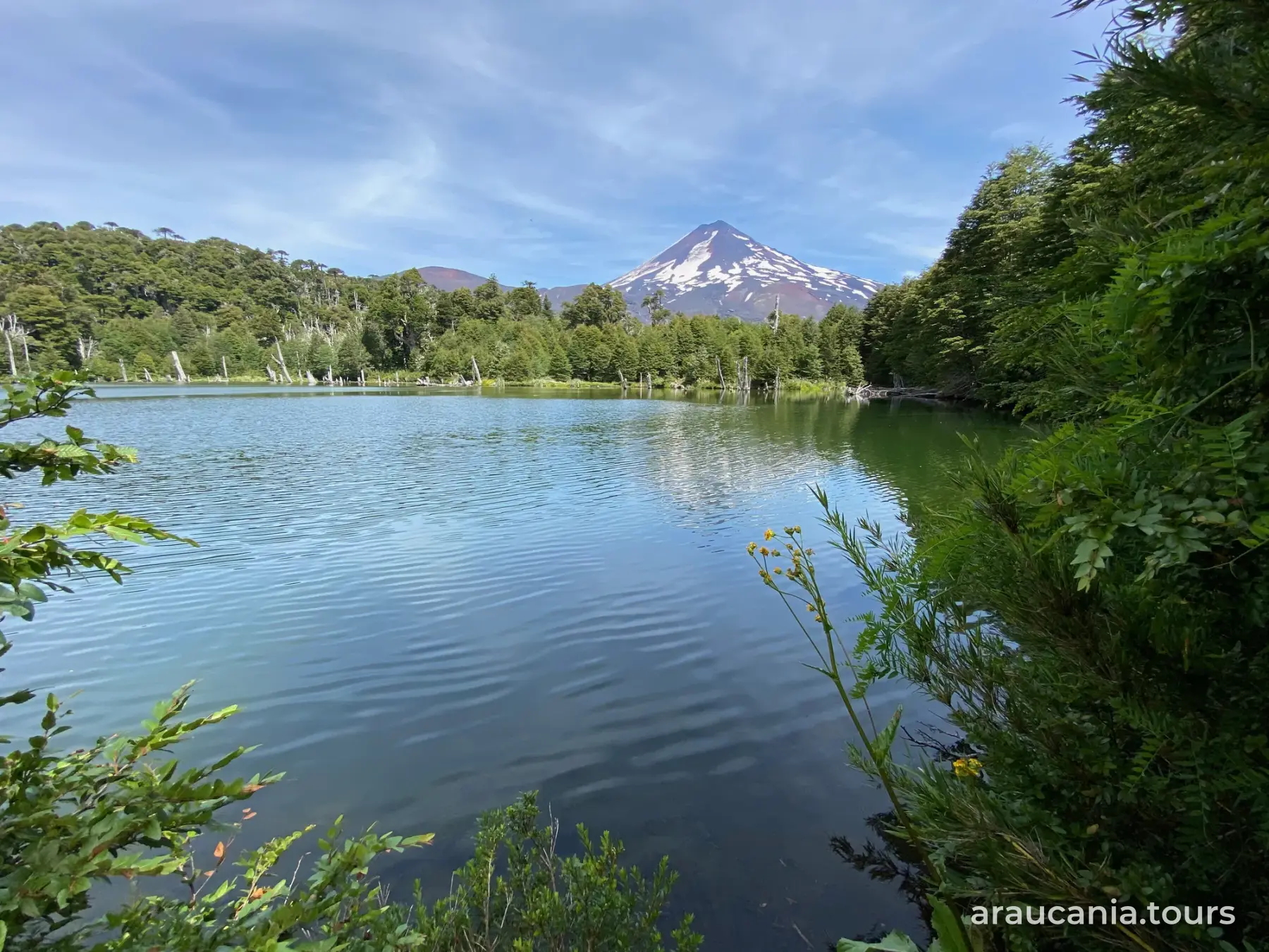 Laguna rodeada de bosque nativo con un volcán nevado al fondo