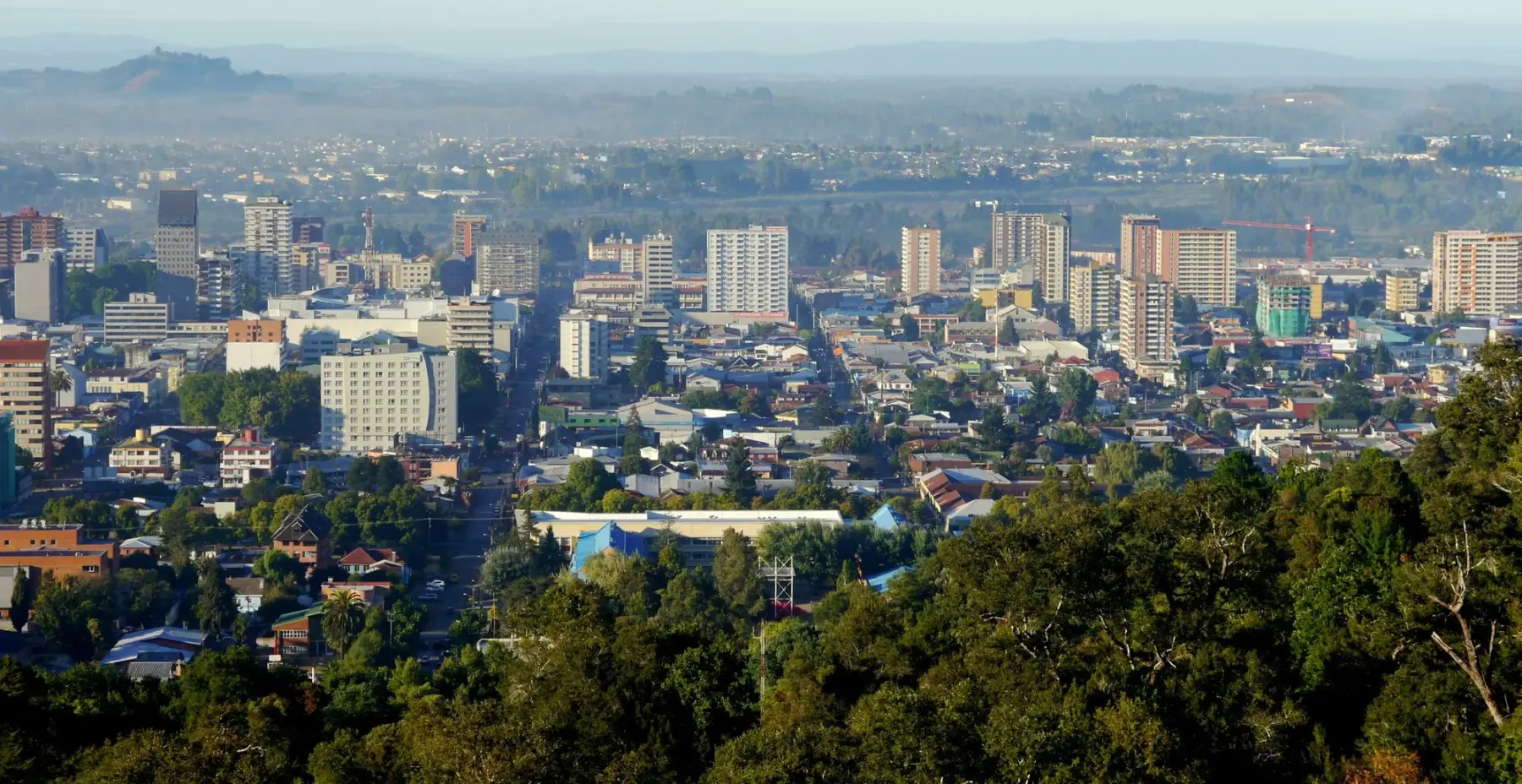 Vista de Temuco desde el Cerro Ñielol, con edificios del centro y bosque nativo en primer plano