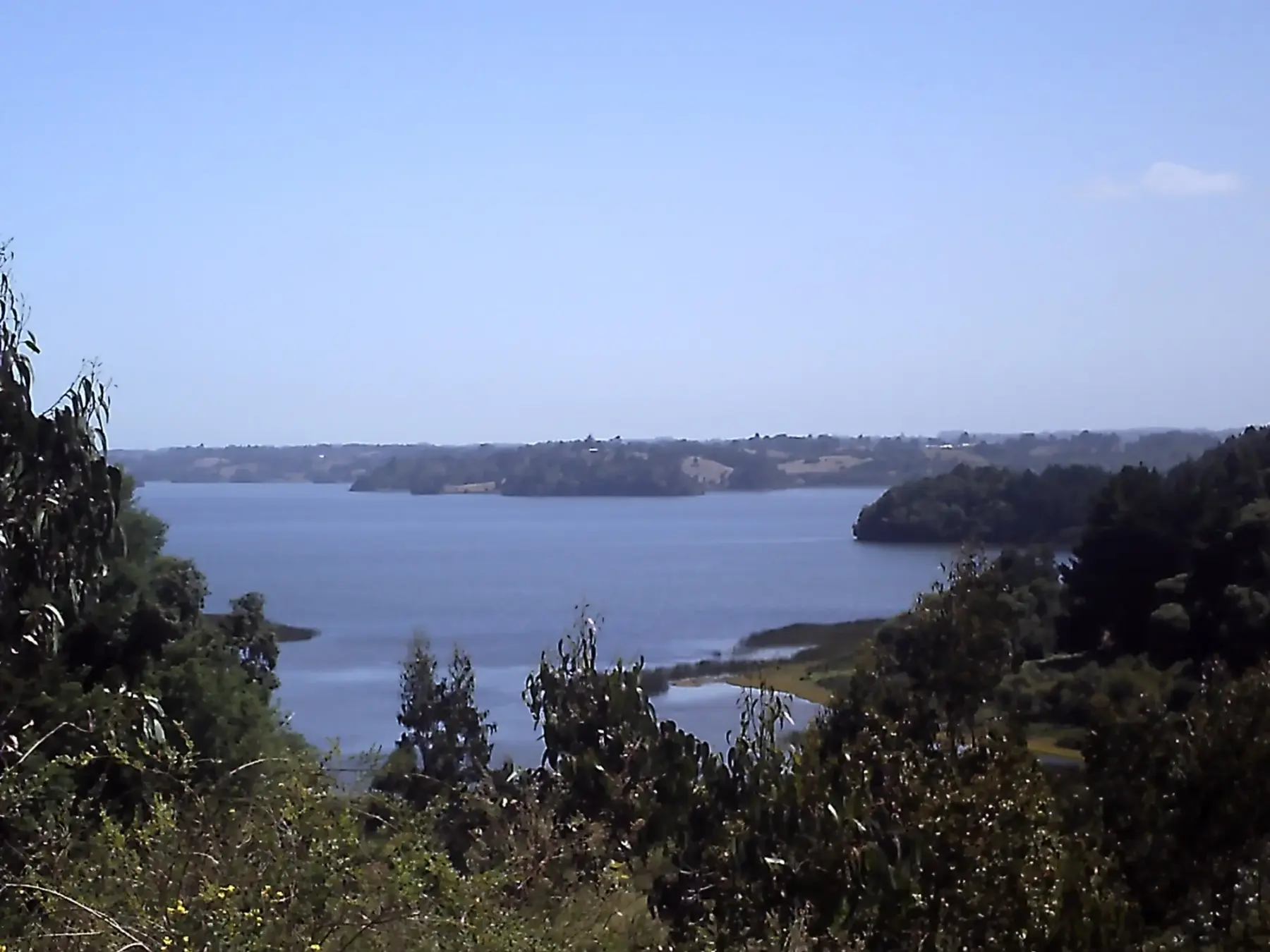 Lago Budi desde un mirador, con islas y orillas cubiertas de bosque en la costa de La Araucanía